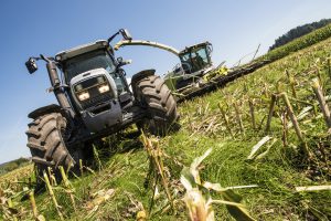 Combine harvester and tractor trailer in corn field.
